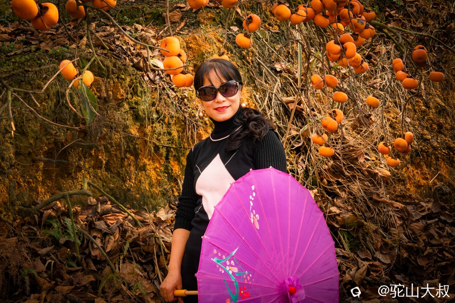 DSC04485-0_副本.jpg