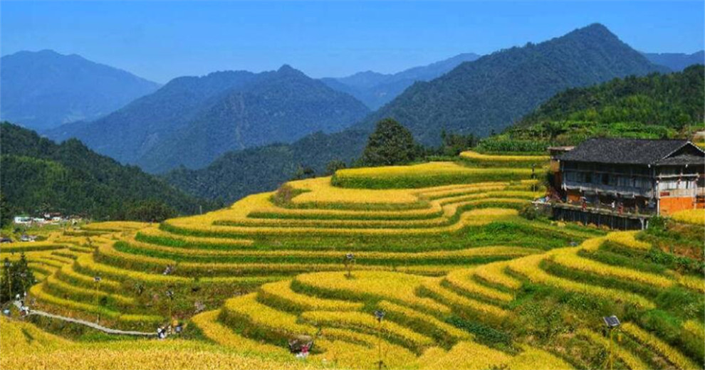 再向马海行