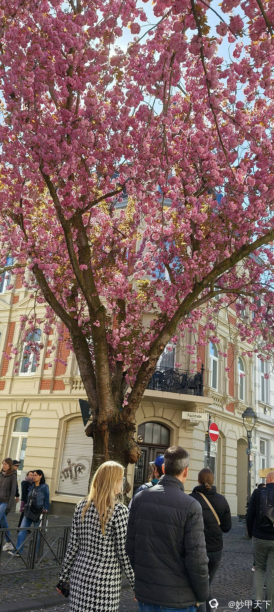 IMG20250406133624 (2).jpg