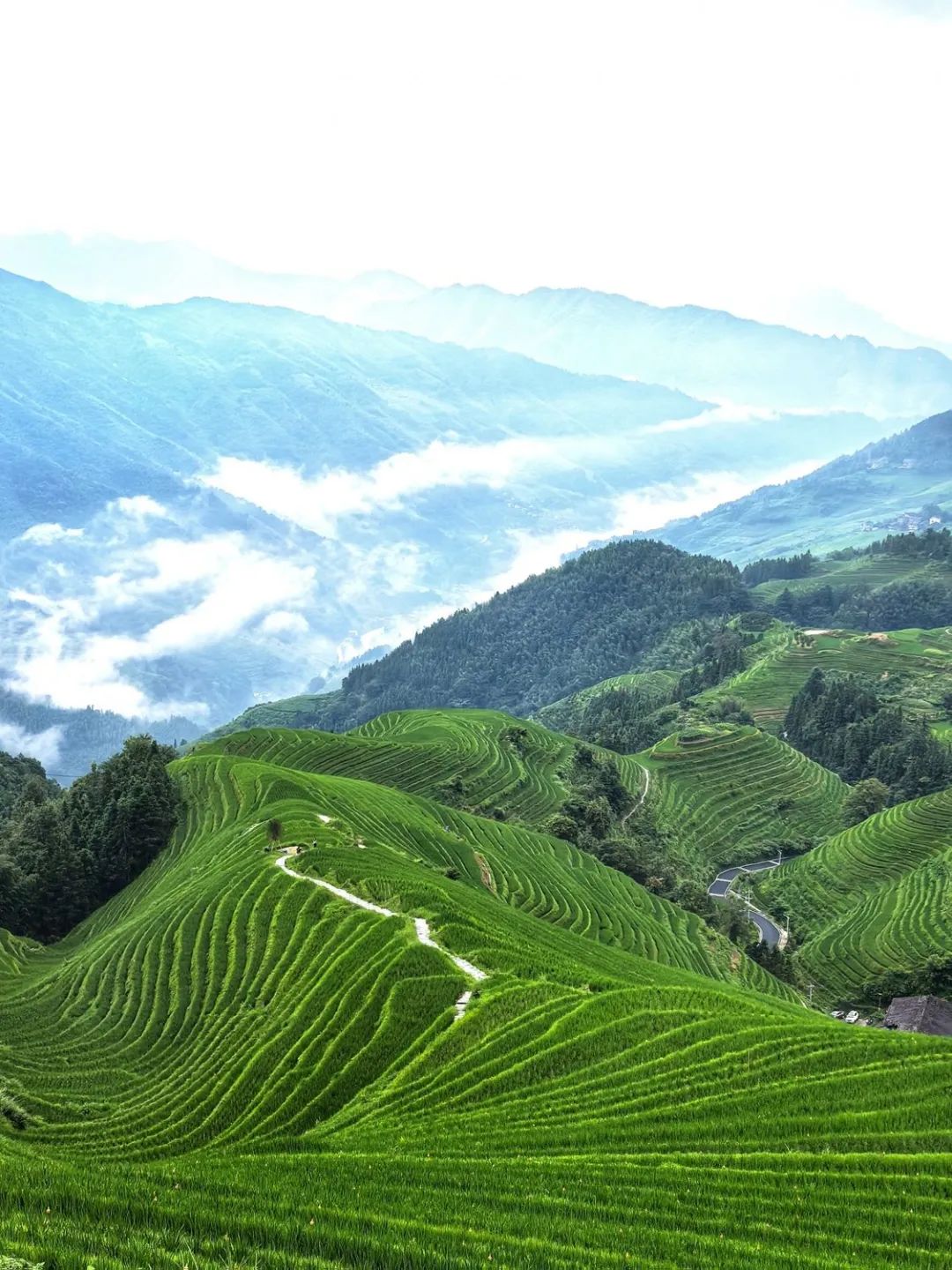 解码多样的桂林文化