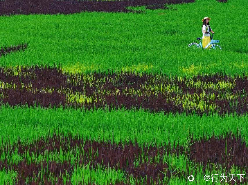 2ff1ca08-5535-8065-320e-a970f7a8f0ef.jpg