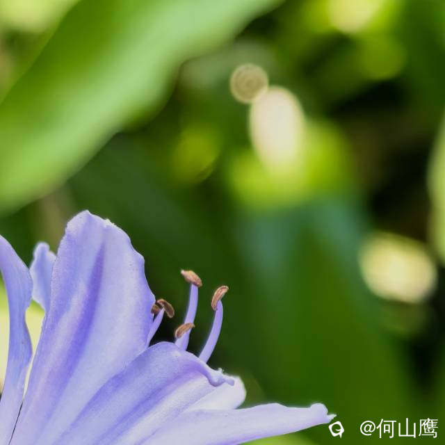 50f2466c-a50c-dd94-d496-16426ac39912.jpg