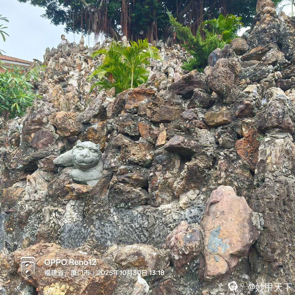 十二生肖中的虎