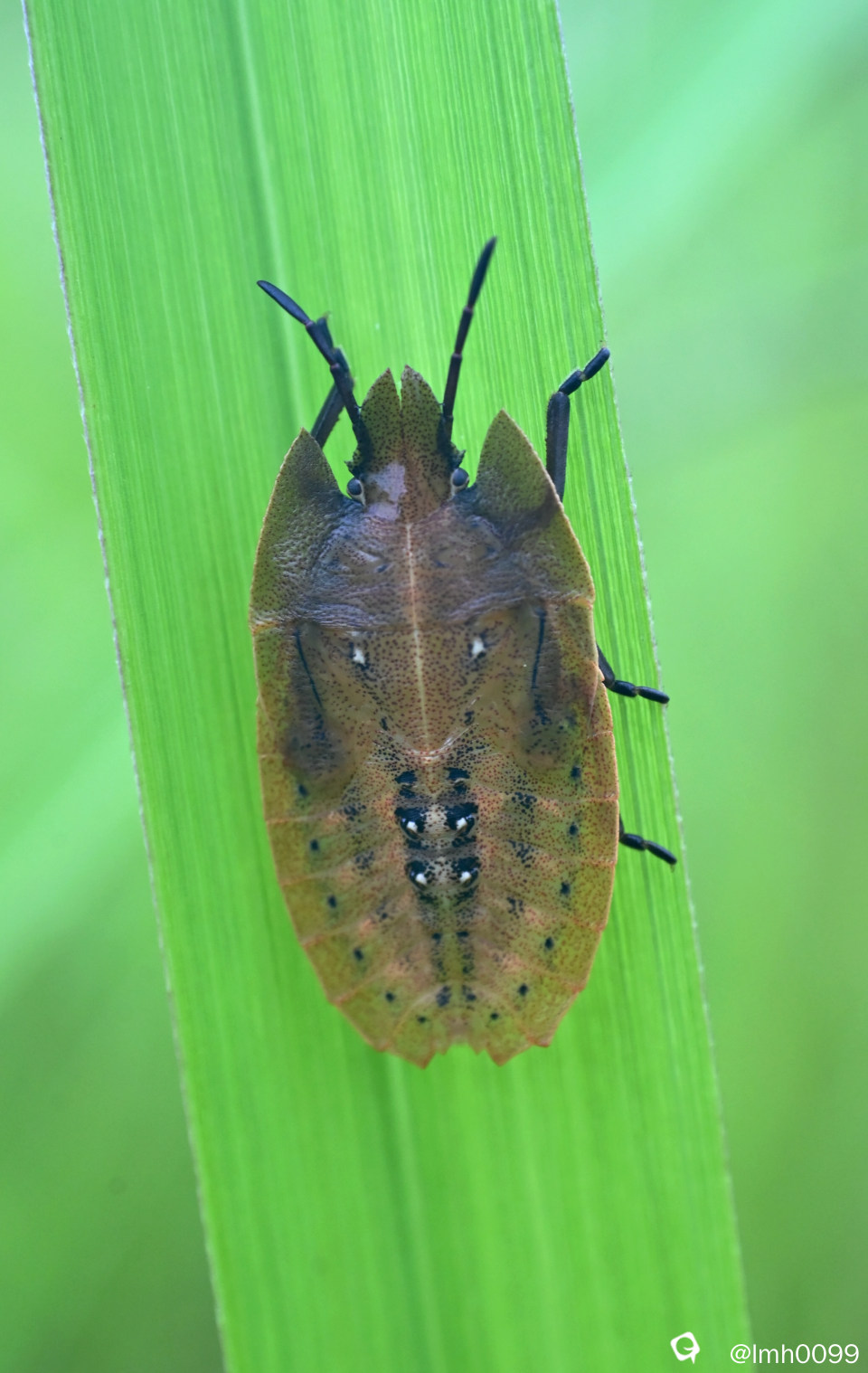 DSC_8298_副本.jpg