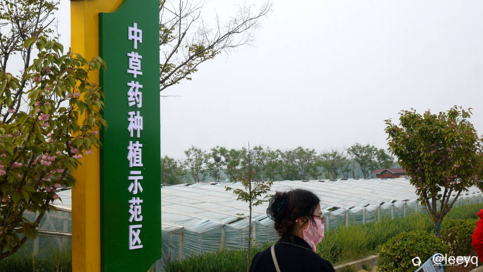 P1150572_副本_副本.jpg