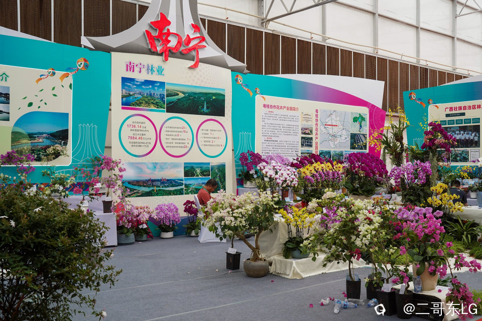 南方第三届花卉苗木交易会 (8).jpg