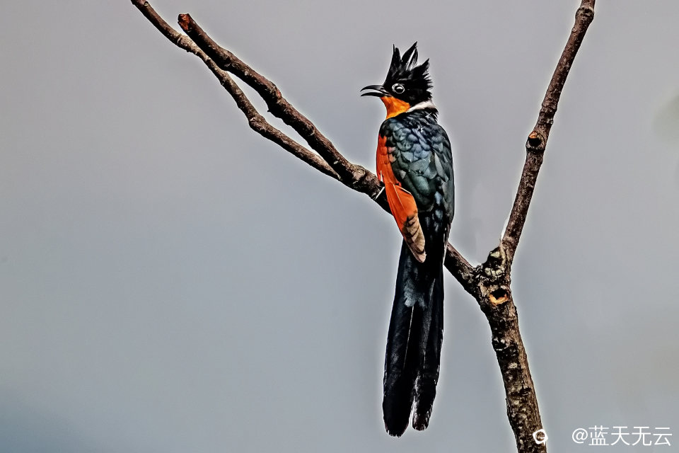 _40I3698 拷贝p.jpg