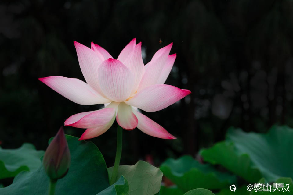 DSC07381-0 - 副本.jpg