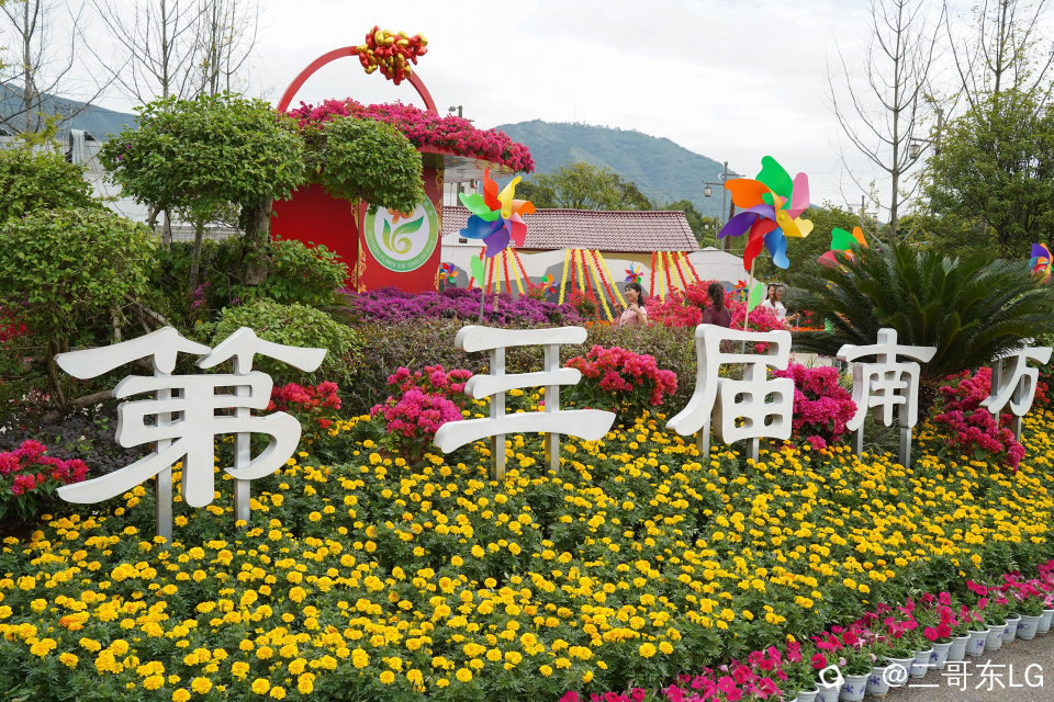 南方第三届花卉苗木交易会 (7).jpg