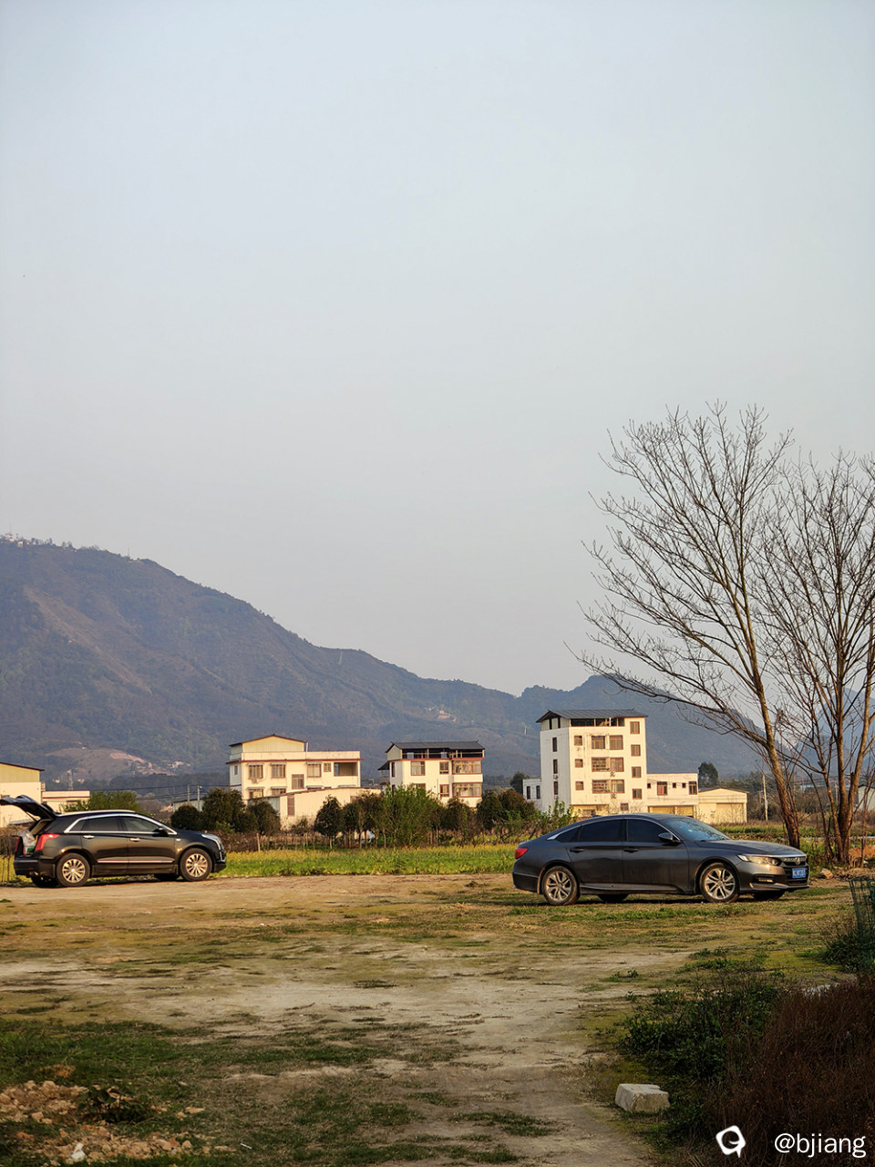 IMG20250321180006.jpg