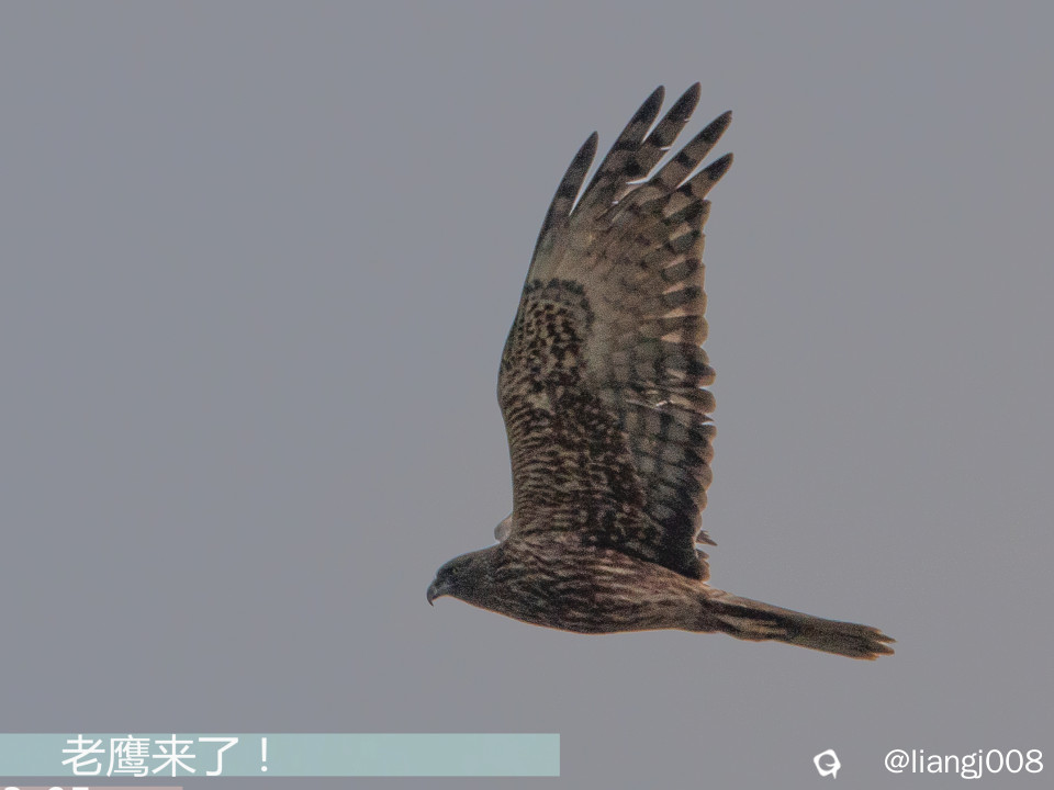 DSC07517_副本.jpg