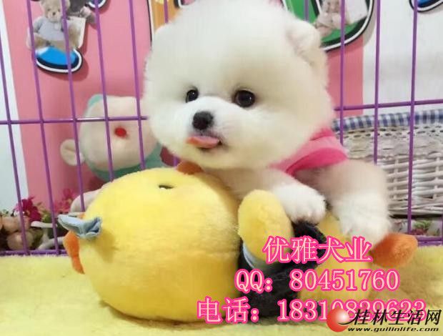 	 ����������������Ȯ ���������й��� ����Ȯ����Ǯ