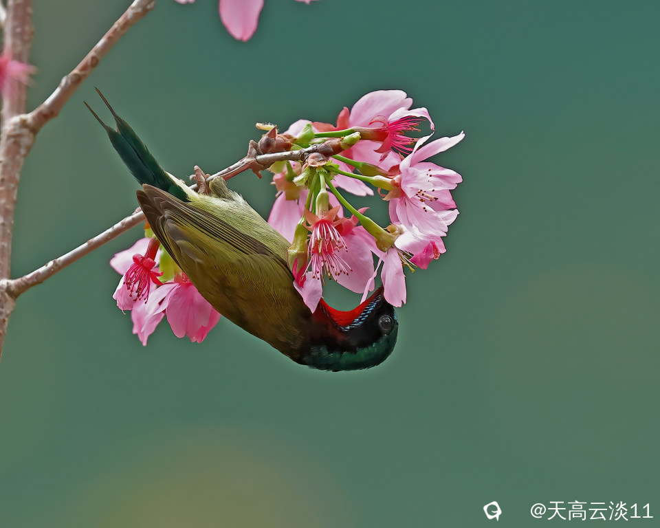 5D2A0430-DeNoiseAI-clear.jpg