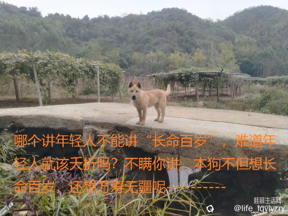 20250117191448front2_0_2251410_FreUDMMSV3fc_flaNNqvDLG-j7b4 (1).jpg