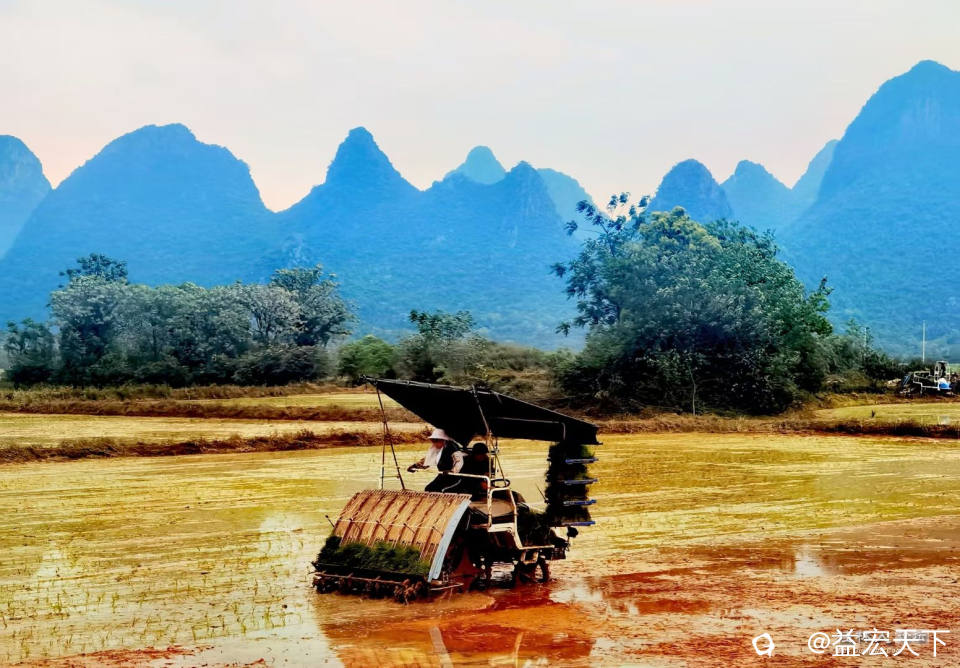 四月 手把青秧插满田，机械点头禾望天。风调雨顺秋日到，稻谷飘香笑开颜。