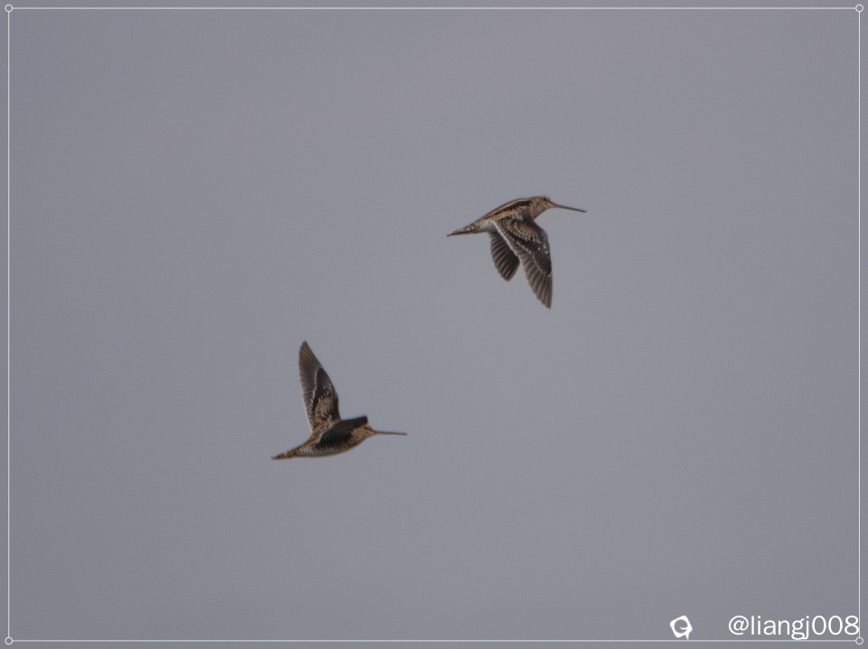 DSC05736_副本.jpg