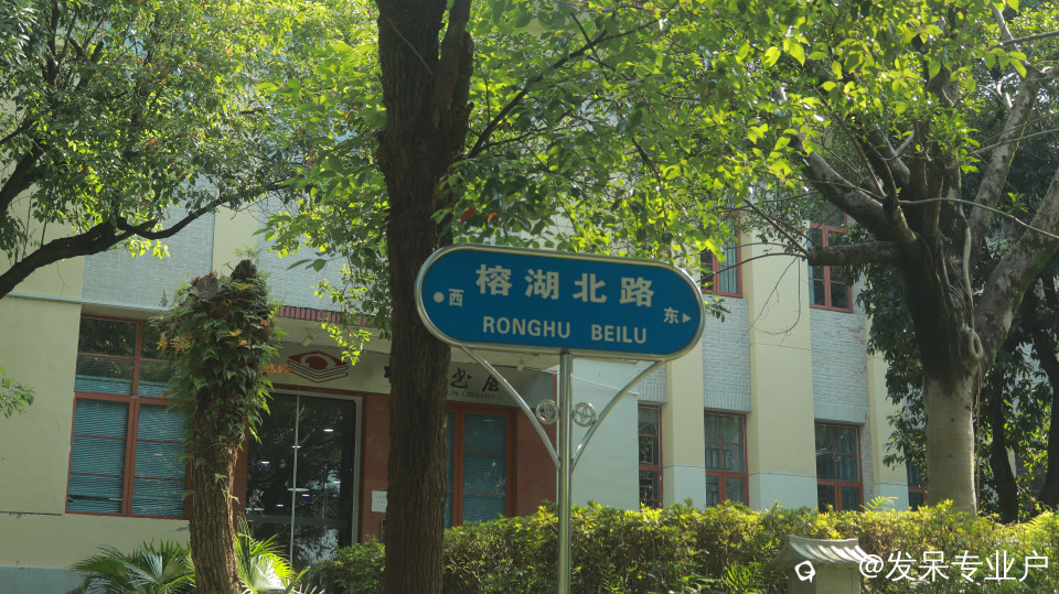 6868e444-5916-f212-3221-795de02891e2.jpg