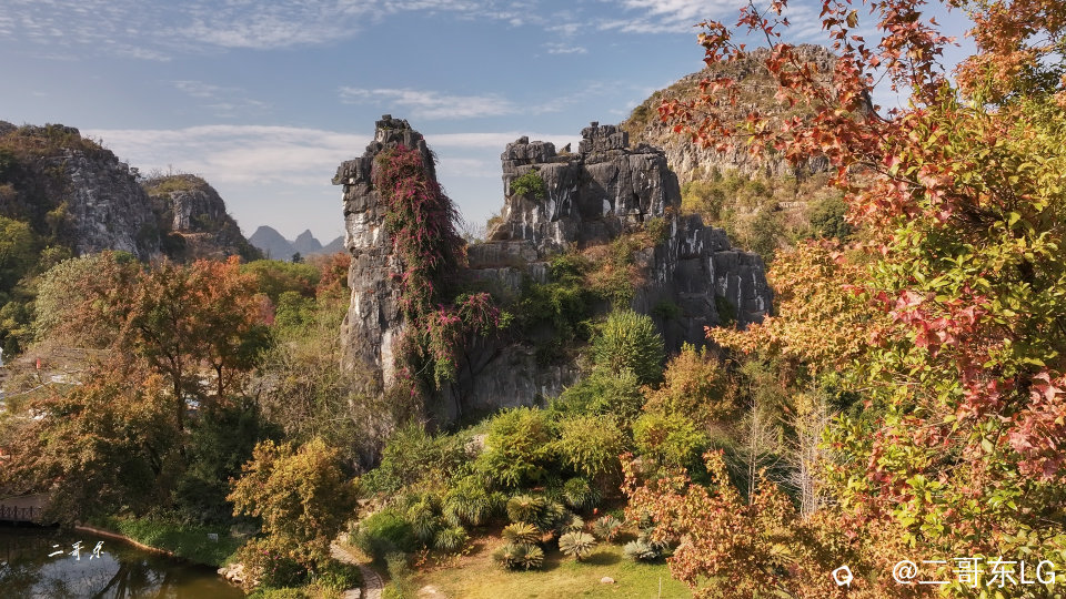 骆驼赤霞 (11).jpg