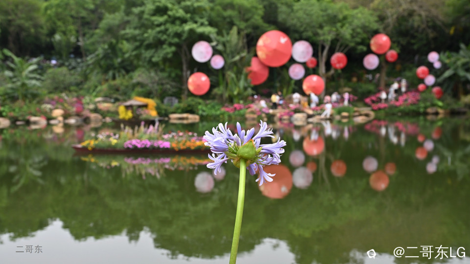 三月三青秀山花展 (12).jpg