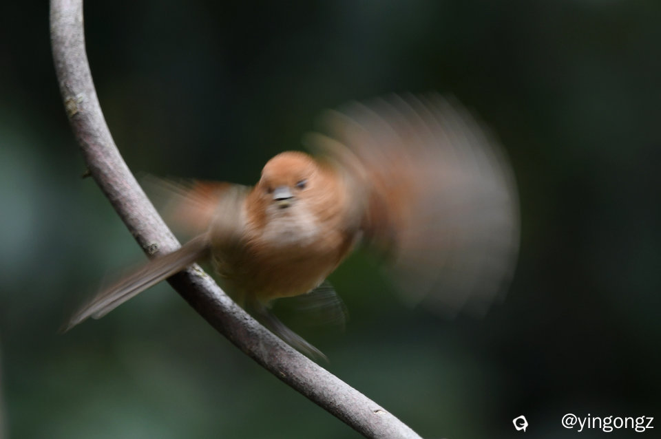 DSC_7414_副本.jpg