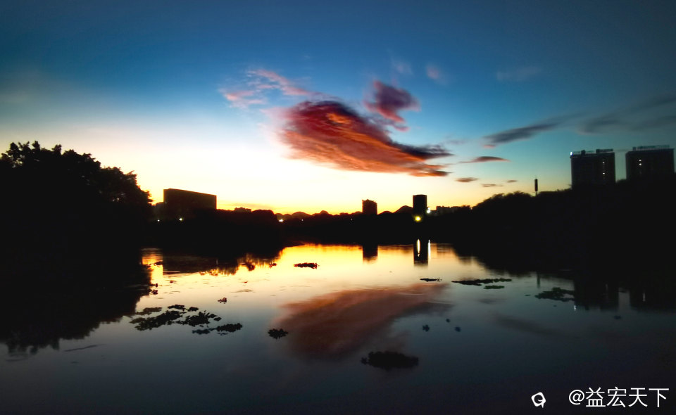 鱼跃水天