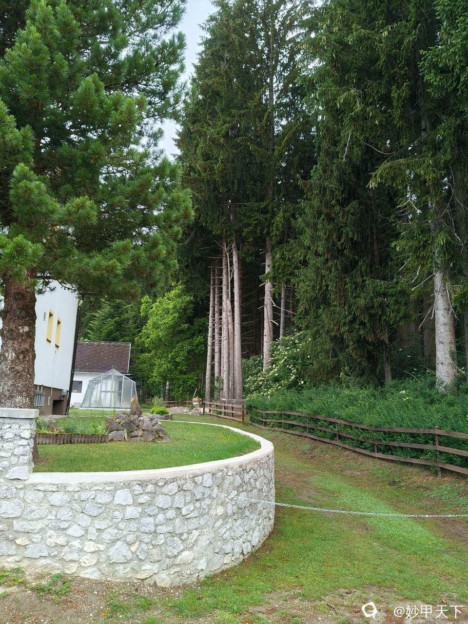 IMG20260607070911.jpg