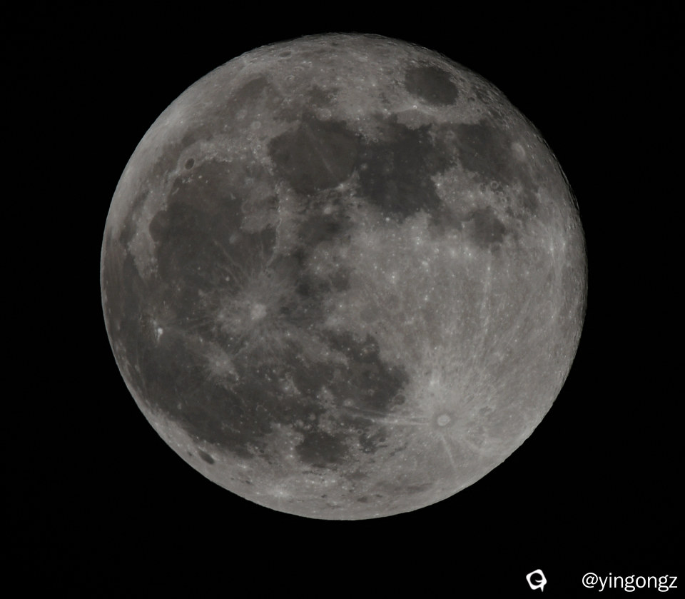 DSC_1591_副本.jpg