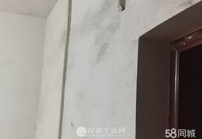 ����ֿ������ӻ�ԷС��
