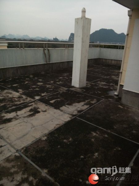 T��Ǽ��ݻ�԰һ��4��4����Ʒ��ʽ���� �۸�260��