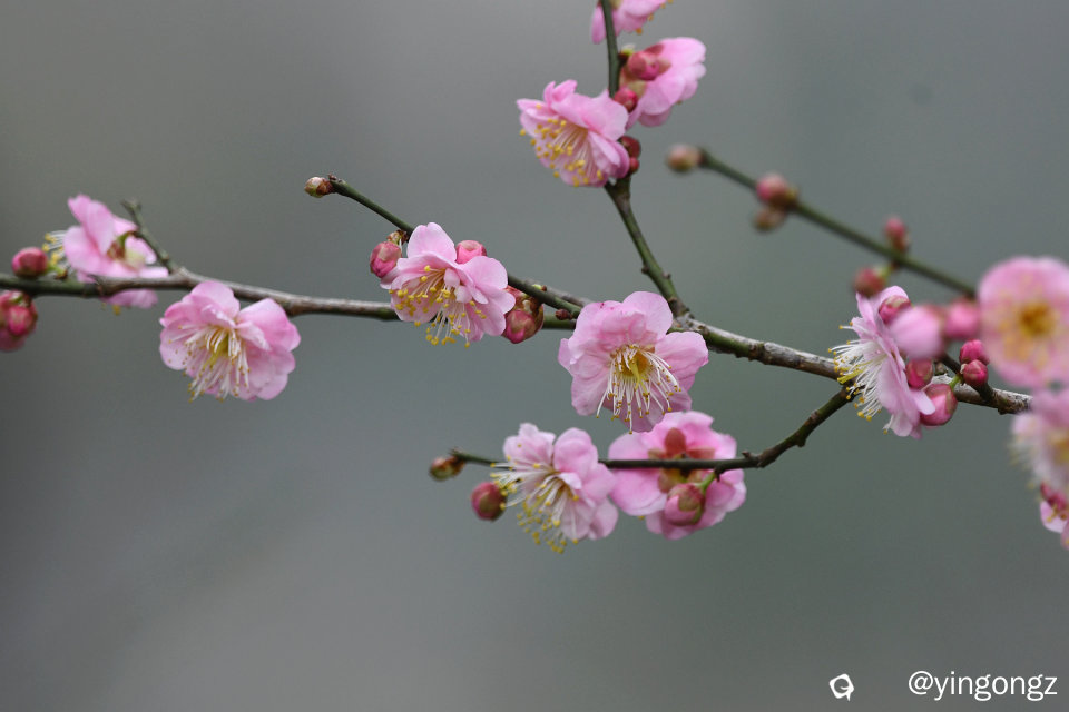 DSC_3361_副本.jpg