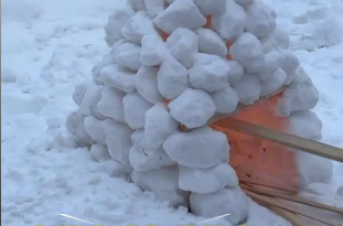 廣西游客到東北旅游 在雪地里成功搭建&ldquo;窯雞&rdquo;，網(wǎng)友：考試合格請(qǐng)回廣西打印成績(jī)單