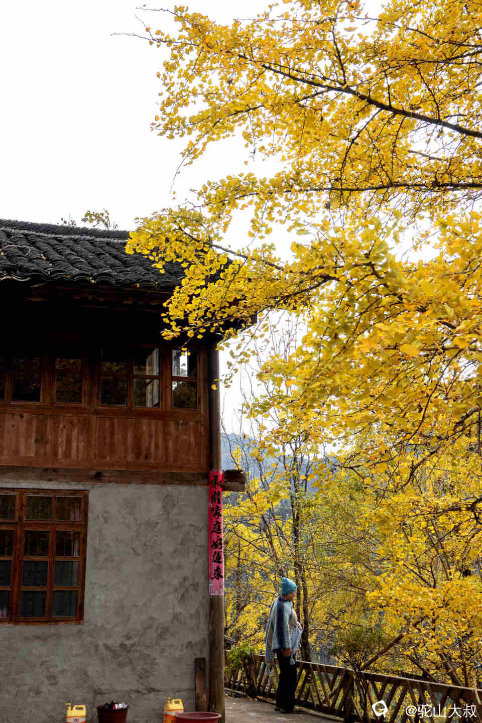 DSC04418-1 - 副本.jpg