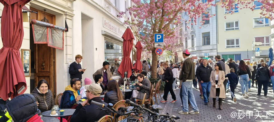 IMG20250406130659 (2).jpg