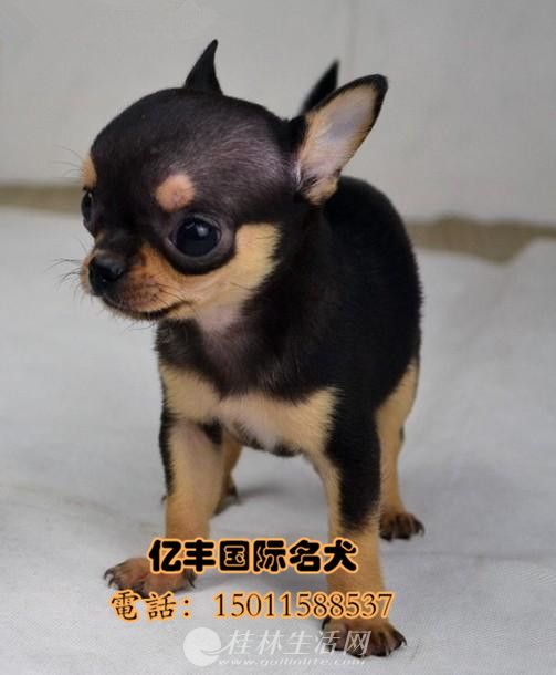 ���������������� ���ּ����޶���Ǯһֻ