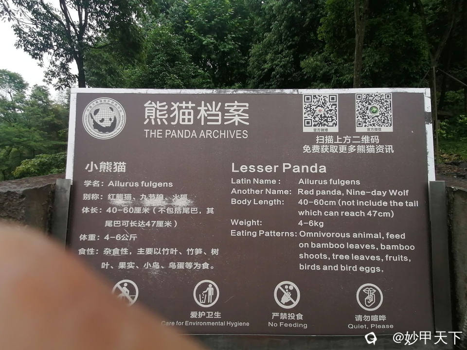 小熊猫2-IMG_20230522_121023 (2).jpg