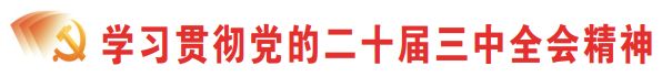 学习贯彻党的二十届三中全会精神丨一条江与一城人的命运与共