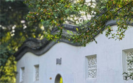 满城桂语（手机片）