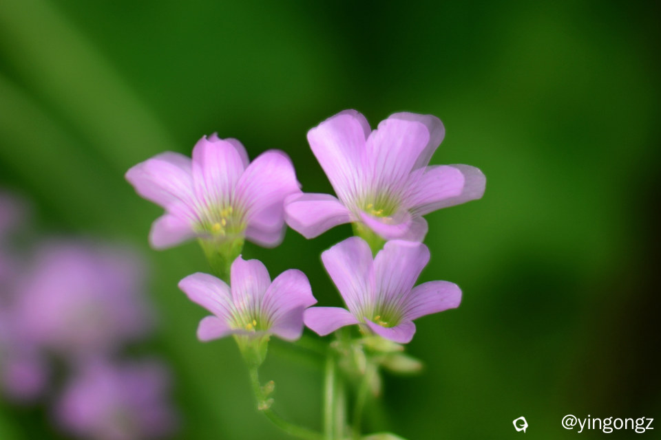 DSC_5876_副本.jpg