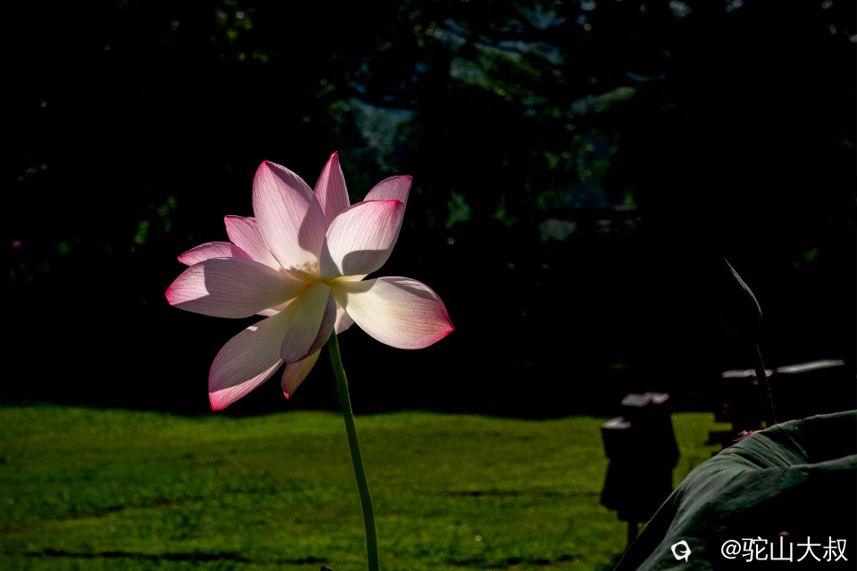 DSC03636-0.jpg