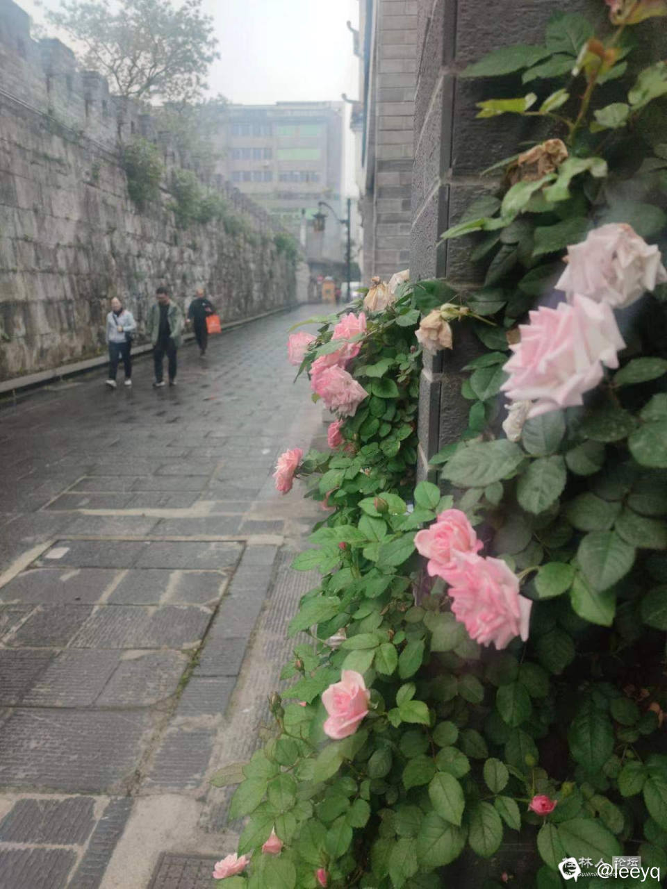 微信图片_20240411115541.jpg