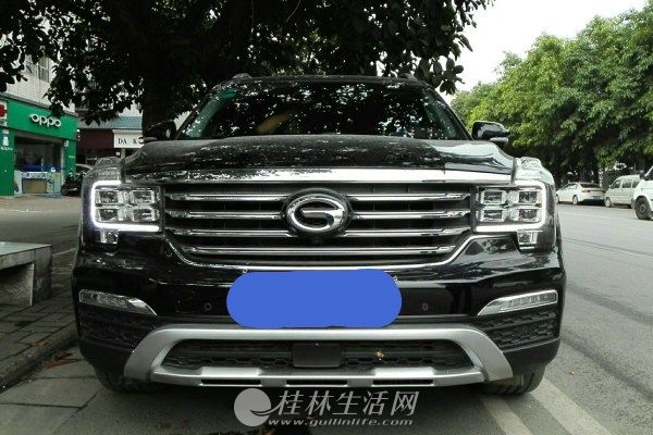  ����GS8 2017�� 320T ��������������
