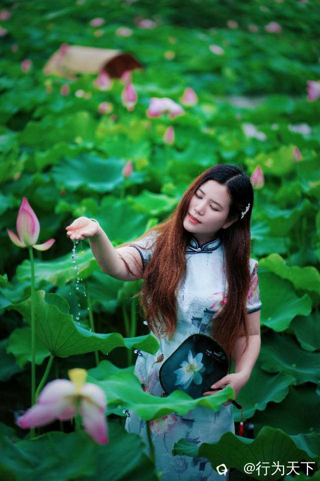 9f8bcd50-9799-d468-4e90-ed6ecee91b00.jpg
