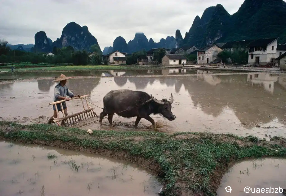 1980年期间的桂林，由法国摄影家布鲁诺·巴贝（Bruno Barbey）拍摄，那时的田园群峰耸峙，村居旁，农人在水 ...