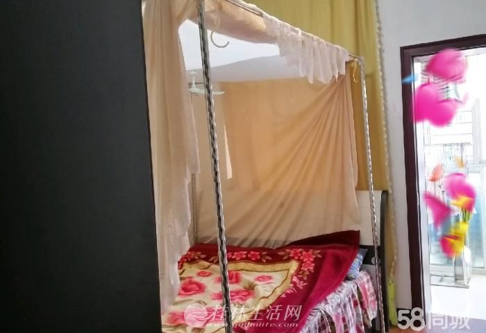 ����ֽ���С������������������װ���Ϻ���Ե�ˣ�