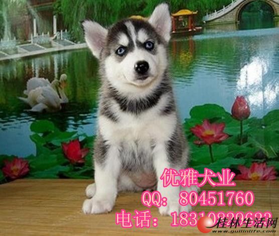	 ���ֹ�ʿ�� ��ʿ��۸� ��ʿ��������� ������