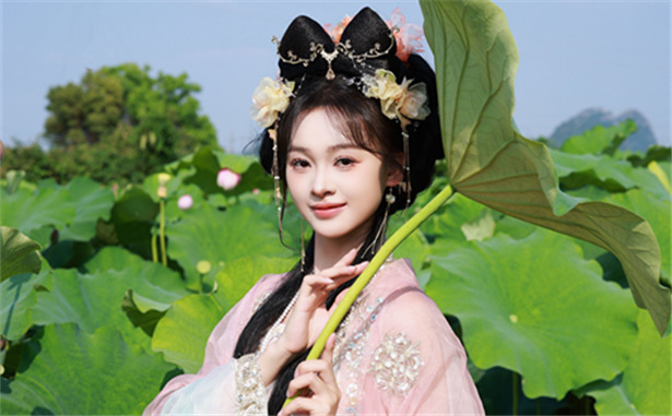 荷花美景圖