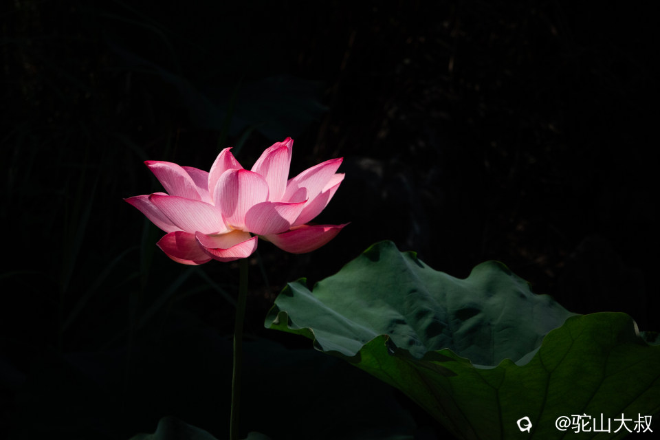 DSC04541-0.jpg