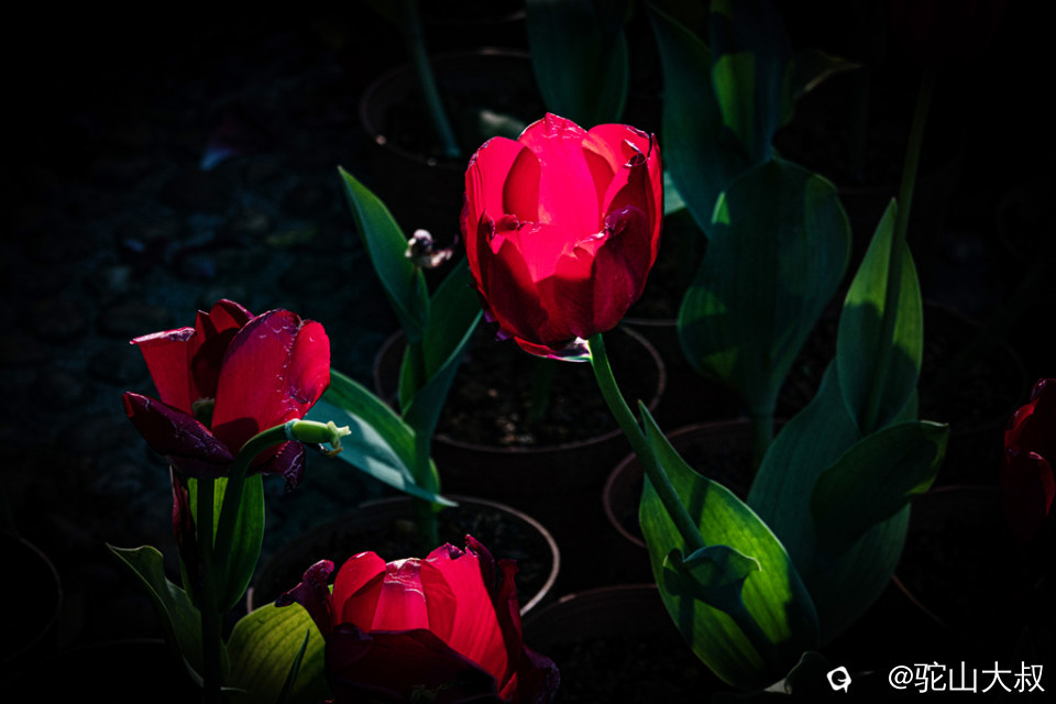 DSC05123-0 - 副本.jpg