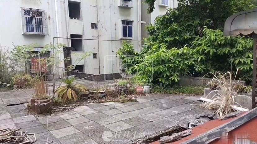 ���� ����������СѧӢ����𽶫С��3����100ƽ¶̨55��