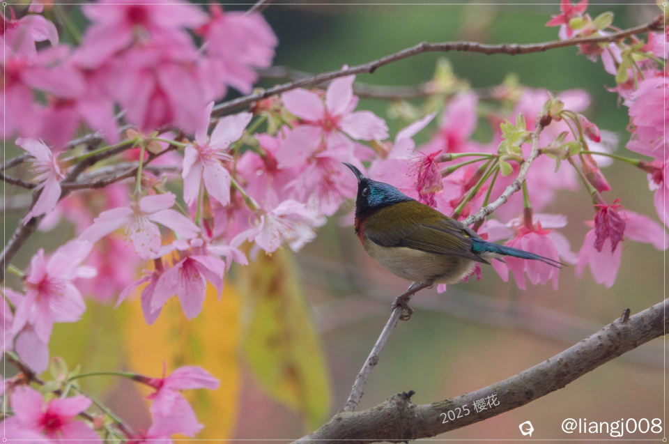 DSC07144_副本.jpg